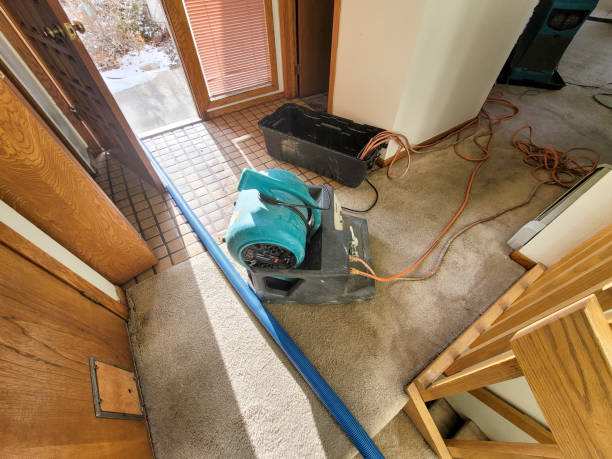 Best Water damage restoration near me  in Red Boiling Springs, TN