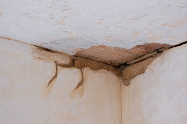 Best Flood restoration services  in Red Boiling Springs, TN