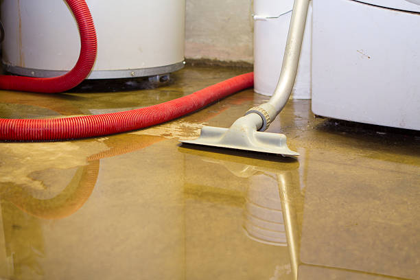Best Carpet water damage restoration  in Red Boiling Springs, TN
