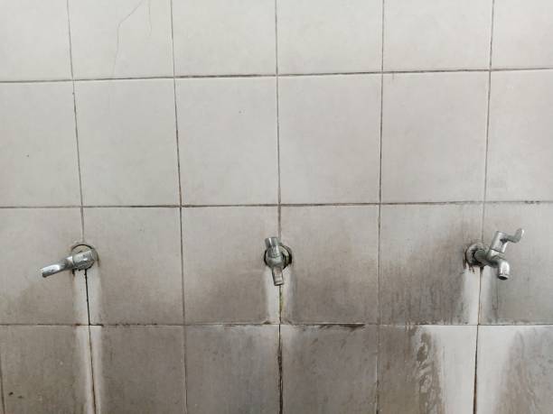 Best Residential water damage restoration  in Red Boiling Springs, TN